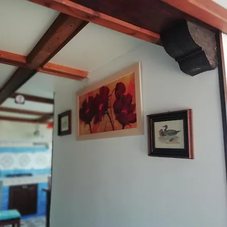 Apartment Girasolearuna *